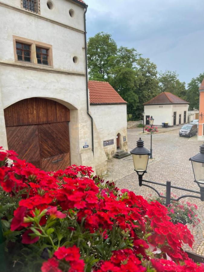 Pension Alt Naumburg Naumburg  Dış mekan fotoğraf